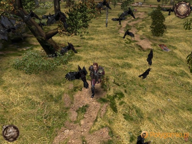 Wiedźmin obchodzi 10 urodziny - Geralt przeszedł długą drogę [2]