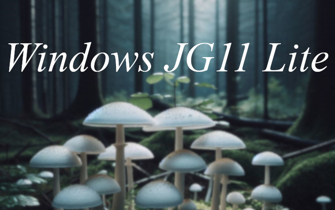 Windows JG11 Lite - nowa, zmodyfikowana wersja systemu, która została odchudzona m.in. z telemetrii   [1]